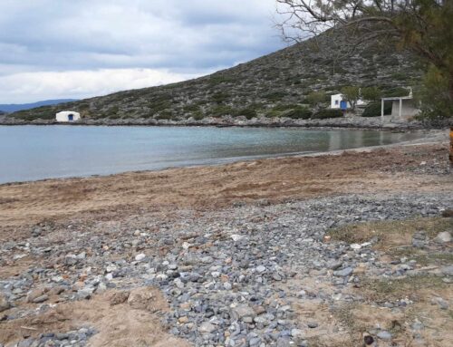 Χορηγία συλλόγου στην Πασιφάη